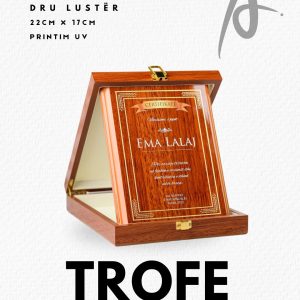 Trofe certifikatë druri