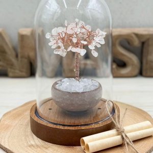 Pemë Kristali Clear Quartz .